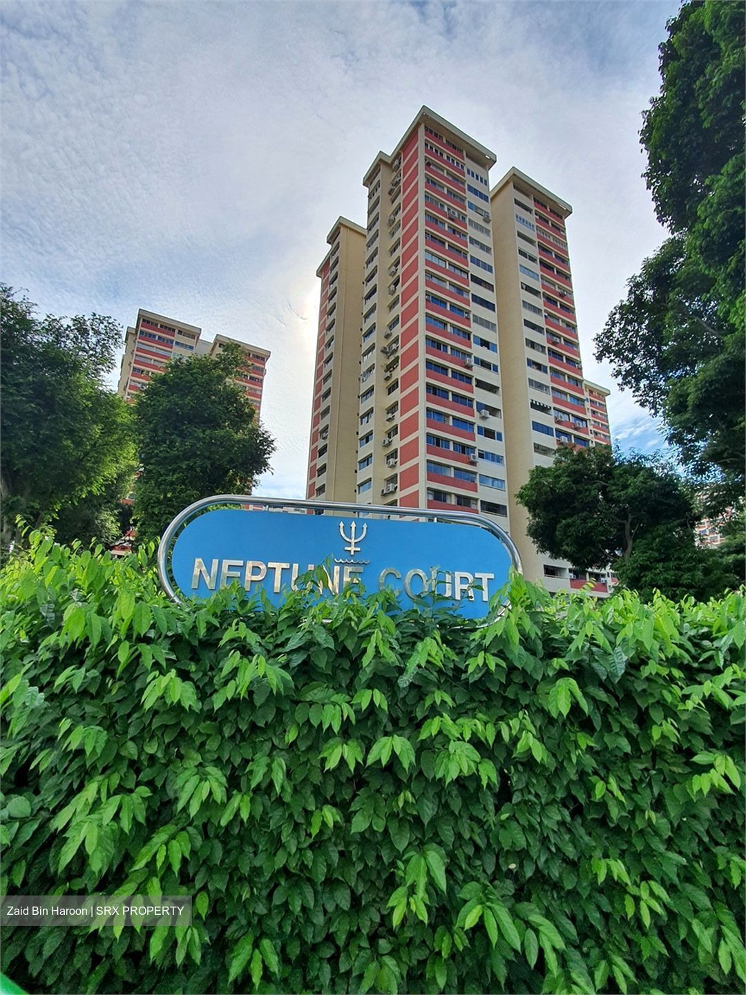 Neptune Court (D15), Apartment #483919341